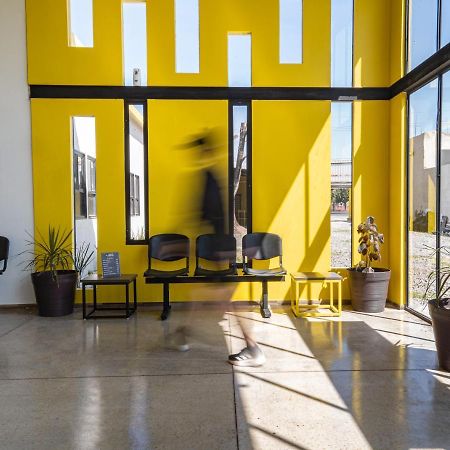Check Inn Hostal Aeropuerto Gdl Las Pintas Ngoại thất bức ảnh